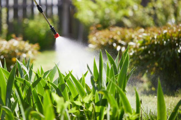 24/7 Emergency Wasp Removal experts in Concord, MI