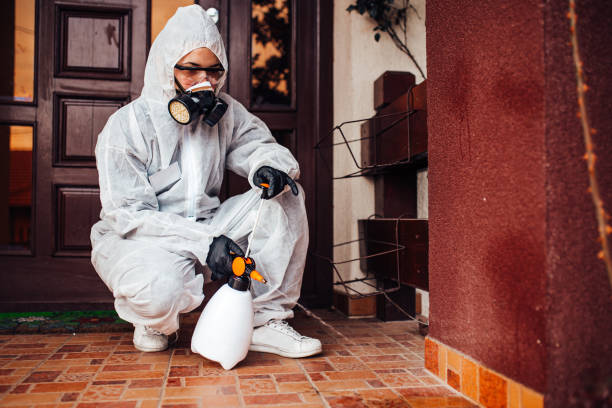 Reliable Wasp Removal contractor in Concord, MI by Show Me Pest Control